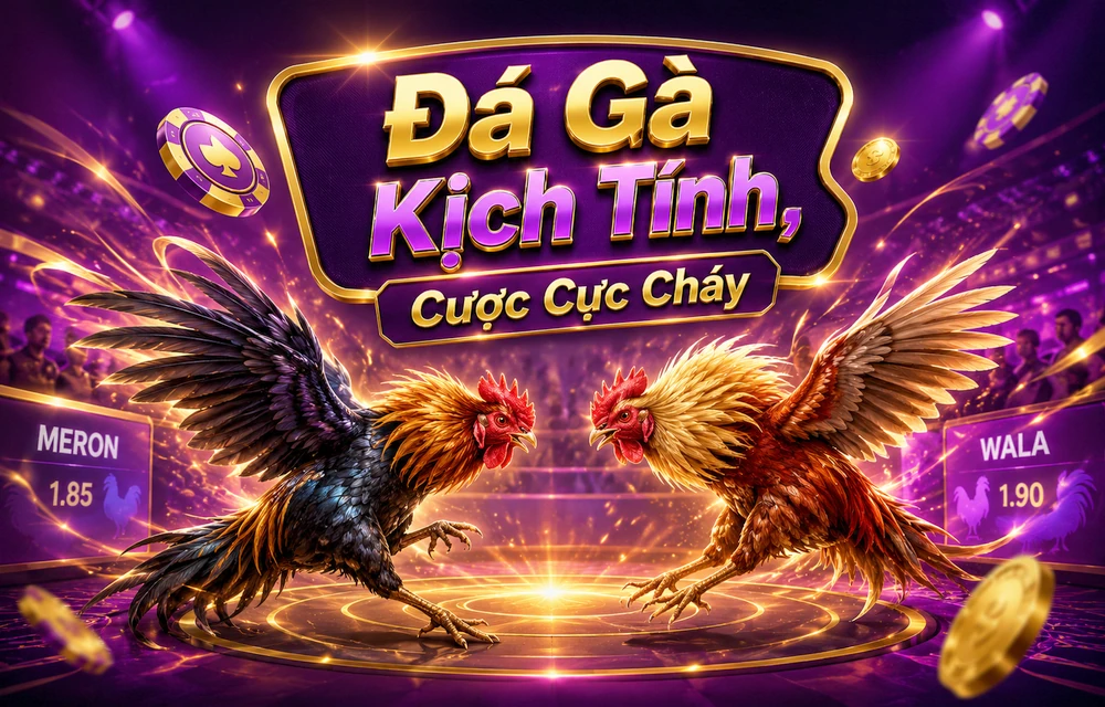 Hình minh họa bài viết 888VI