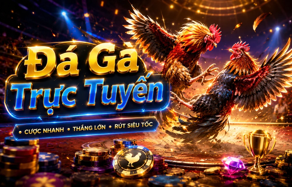 Hình minh họa bài viết 888VI